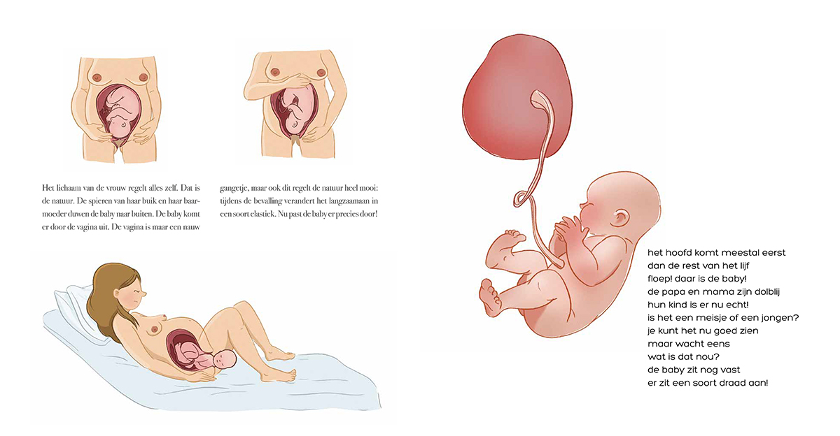 waar komen baby's vandaan interior page illustraties Renske de Kinkelder